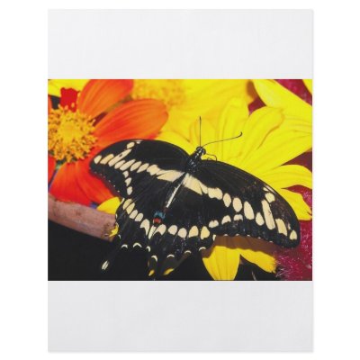 Butterfly Flyer Design by oddbob