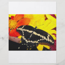 Butterfly Flyer