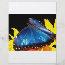 Butterfly Flyer Design