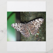 Butterfly Flyer Design