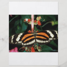 Butterfly Flyer Design