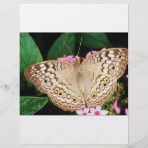 Butterfly Flyers