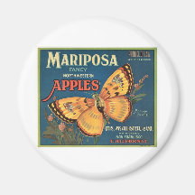 Butterfly Fridge Magnets