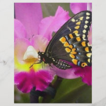 Butterfly Full Color Flyer