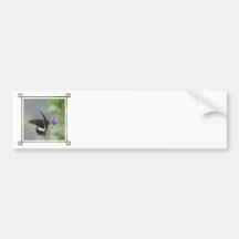 Butterfly Garden Bumper Stickers