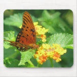 Butterfly Garden Mouse Mat