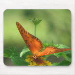 Butterfly Garden Mouse Pad