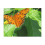 Butterfly Garden Post Cards