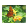 Butterfly Garden Post Card