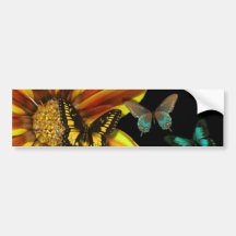 Butterfly Gardens Bumper Stickers