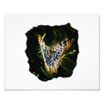 Butterfly Glowing Edges Cutout Art Photo