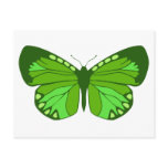 Butterfly Greens