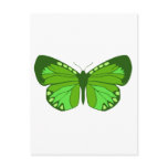 Butterfly Greens