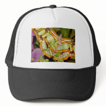Butterfly Hat