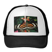 Butterfly Hat