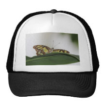 Butterfly Hat