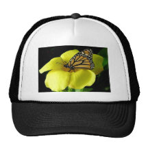 Butterfly Hats