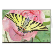 Butterfly in a rose tarjetón