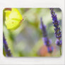 butterfly in flight mousepad