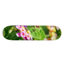 Butterfly In Louisiana Skate Boards