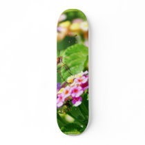 Butterfly In Louisiana Skate Boards