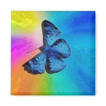 butterfly in the sky