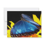 Butterfly Invitations