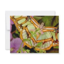 Butterfly Invitation