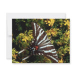Butterfly Invite