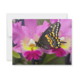 Butterfly Custom Invite