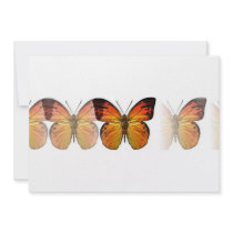 Butterfly Invites - Butterflies Invitation