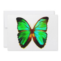 Butterfly Invites - Butterflies Invitation