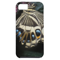 Butterfly iPhone 5/iPhone 5S Case-Mate Tough™ Case casemate cases
