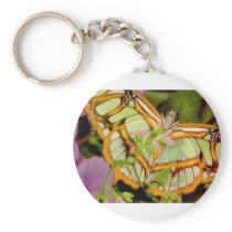 Butterfly Key Chain