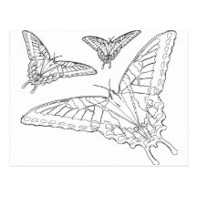 Butterfly Line Drawing Postcards