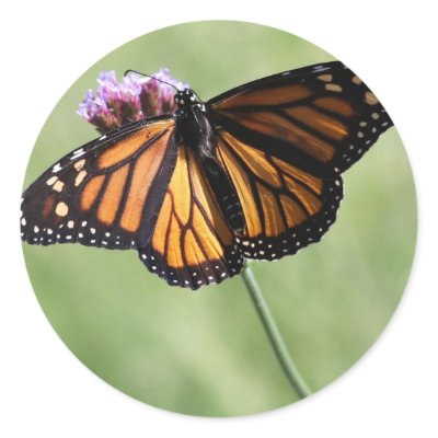 Butterfly Love Round Sticker by Priscilla48