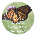 Butterfly Love Round Sticker