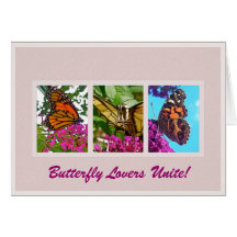 Butterfly Lovers Unite Greeting Cards