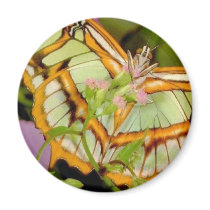 Butterfly Refrigerator Magnet