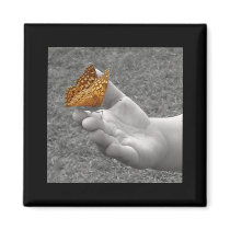 Butterfly magnets