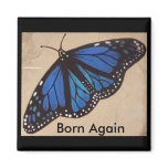 butterfly                                      ... magnets