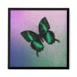 Butterfly Magnet