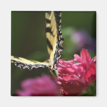 Butterfly Magnet