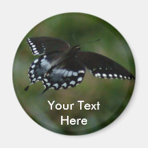 Butterfly Magnet