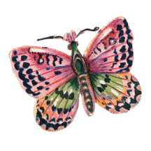 BUTTERFLY MAGNET PHOTO CUT OUTS
