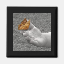 Butterfly Magnets
