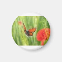 butterfly magnets