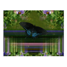 Butterfly Mantle Postcards