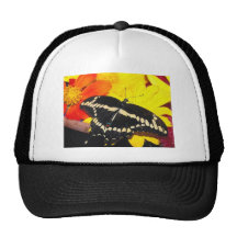 Butterfly Mesh Hat