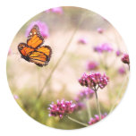 Butterfly - Monarach - The sweet life Round Stickers